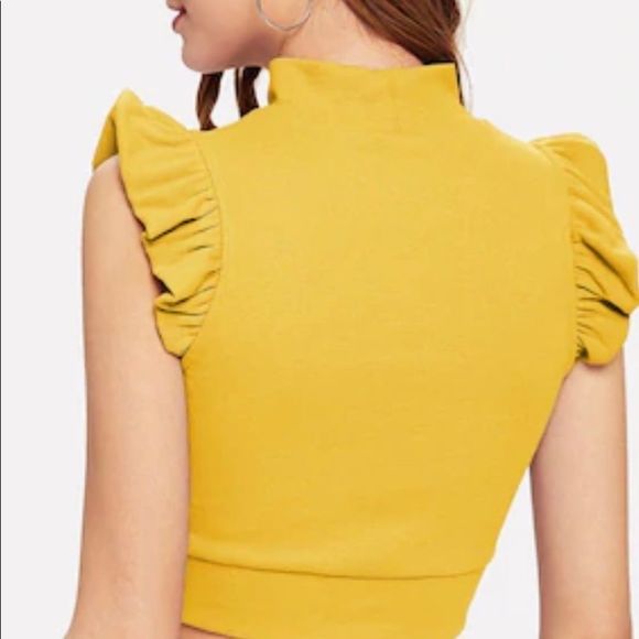 Crop top - Picture 3 of 3